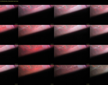 mariahpinkkitty — 17 minute Chaturbate female adult webcam download, 720p, Jan 19, 2025