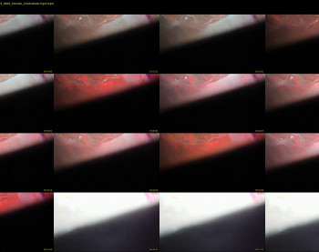 mariahpinkkitty — 11 minute Chaturbate female adult webcam download, 720p, Jan 19, 2025